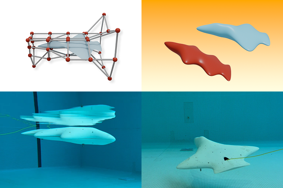 The team used this machine-learning method to produce two real-world underwater gliders: a two-winged machine resembling an airplane, and a unique, four-winged object (Credit: Courtesy of the researchers).